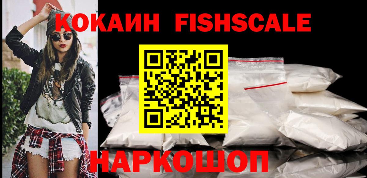 где купить наркотик  КОКАИН 99%  Вход с VPN  COCAIN Fish Scale  Усть-Илимск 