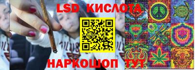 a pvp Кингисепп