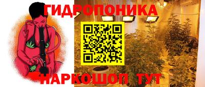 твердый Кимры