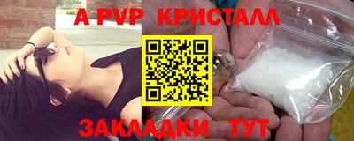 a pvp Кингисепп