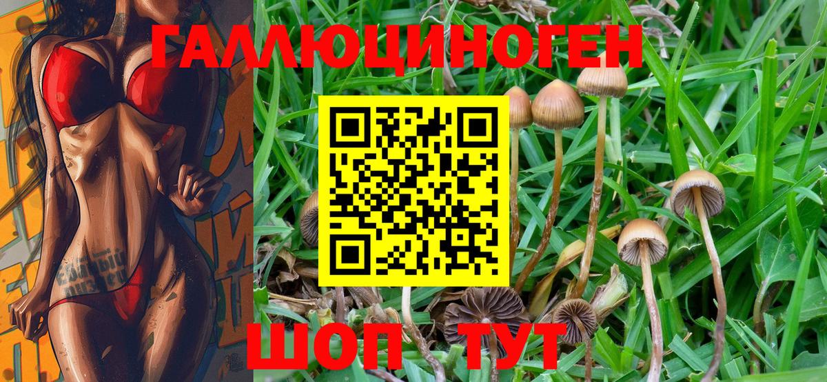 Псилоцибиновые грибы Psilocybe  Вход с VPN  Галлюциногенные грибы мицелий  Усть-Илимск 